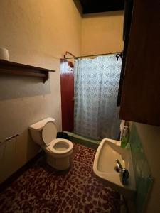 El Susurro del Bosque