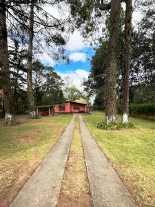 El Susurro del Bosque