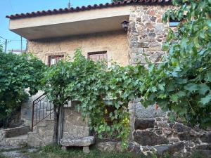 Oliveiras Misarela House