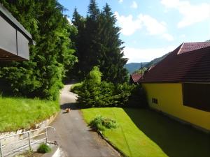 Waldnest nahe Gmunden