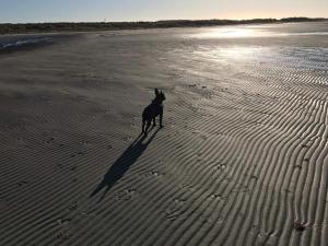 4 person holiday home in Læsø-By Traum