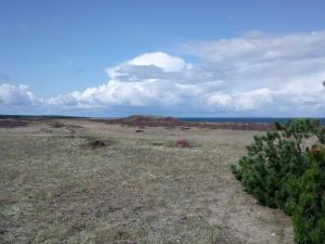 4 person holiday home in Læsø-By Traum