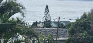 567 on Strelitzia - Shelly Beach