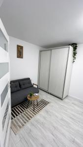 Modern Studio Cetate