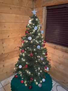 Cabin Among The Pines w Tesla Charger and Game Garage