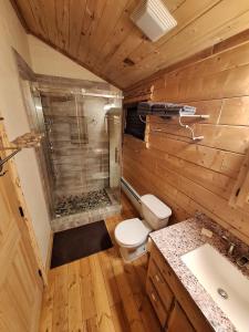 Cabin Among The Pines w Tesla Charger and Game Garage