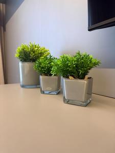 Way Tambaú #H4 - Triplo Deluxe