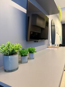 Way Tambaú #H4 - Triplo Deluxe