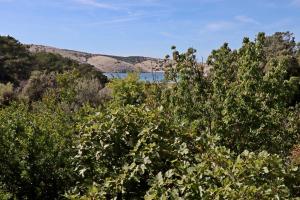 Apartments with parking space Lopar, Rab - 18001