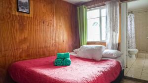 Alma Patagona Coyhaique