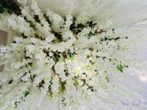 Evasion romantique à Vichy