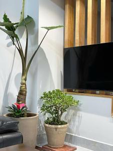 Nhà nguyên căn Đà Lạt