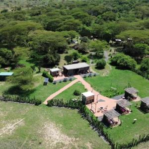 Majimoto Bushpig Camp