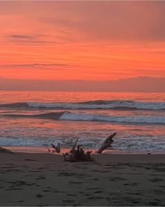 Cabaña privada con piscina y jacuzzi junto al mar