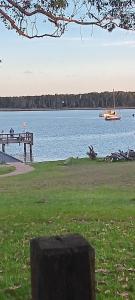 Beachfront Seagulls on Shoalhaven