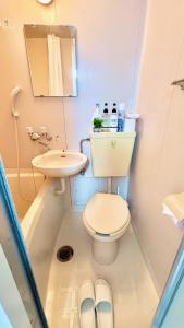 Good One Awaji Accessia 301