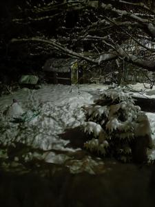 Cozy cottage in the heart of Čičmany