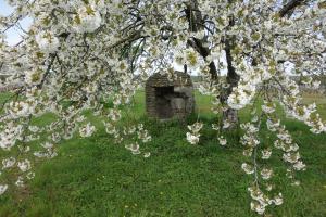 B&B / Chambres d'hotes Les hirondelles du moulin : photos des chambres