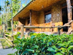 Kaziranga Tea Nest Homestay