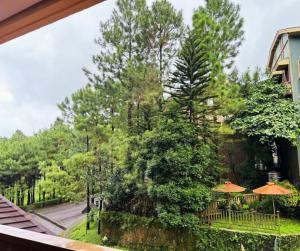 Crosswinds Swiss Couple Suite