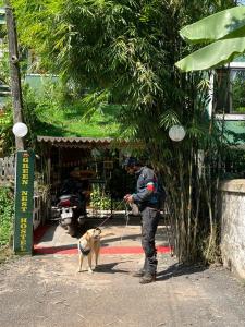 GREEN NEST HOSTEL - Anjuna , North Goa