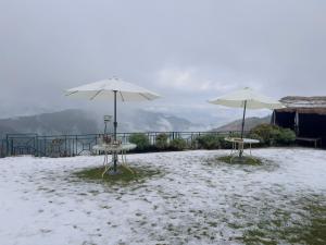 The Terraces - Kanatal