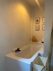 Green & Pink Garden Homes