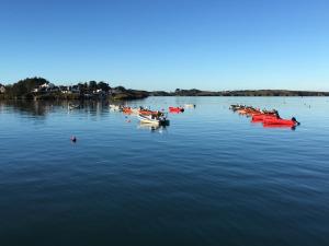 Cedar Boathouse Overlookng Baltimore, West Cork & Islands