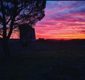 Le grand gîte du Causse