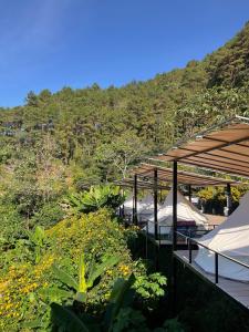 The will glamping&camping