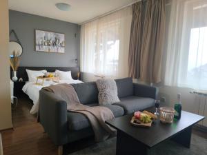 Urban Atelier 300m from Gondola Free Parking WiFi