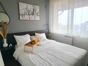 Urban Atelier 300m from Gondola, Free Bottle of Wine, free Parking