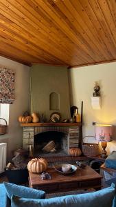 Capris Rustic Ηouse with Mountain View