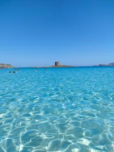 Blu Marlin Apartment img42