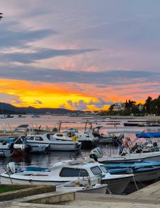 Apartman Sveti Filip I Jakov