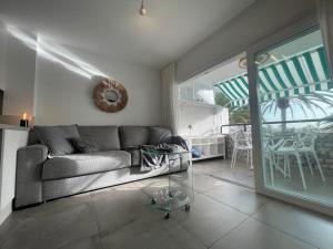 Apartment Palm Tree View