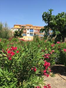 V0382 - Appart 6 couchages en front de mer dans résidence avec piscine