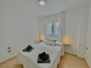 Terrasol Paseo Larios