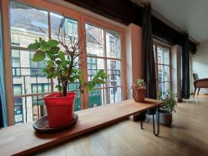 La Cachette du Vieux-Lille, Rétroprojecteur, Wifi