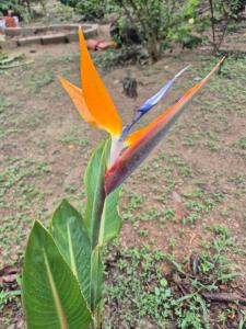 Sítio Recanto das Rosas