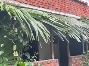 Citadel of Dreams Ella