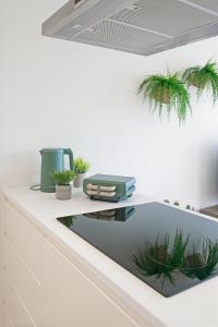 Land Roots Riverside Apartments