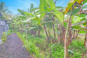 OYO 94782 Loka Loka Ubud