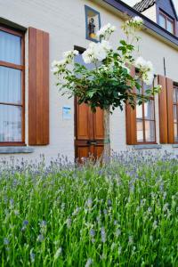 Hotel Het Heilig Genot