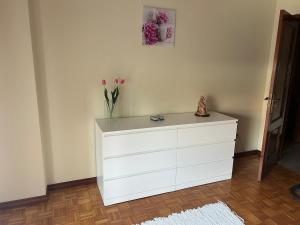 Large apartment near Porto- Paços de Ferreira