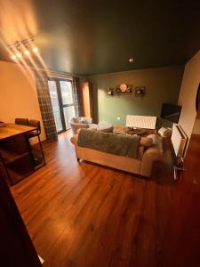 Cute and Cosy Apartment in the heart of Derry