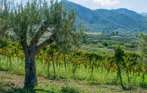 Cozy Home In Rodi Milici With Wifi