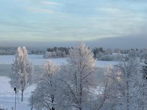 Arctic Sky Apartment