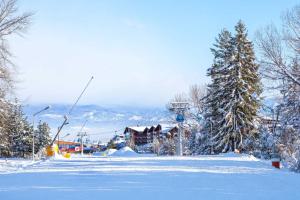 Villa Raphael w Sauna near Pirin Golf Resort