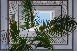 Apartamento boutique JGP